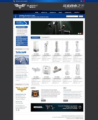 威宇電器 雙語網站建設